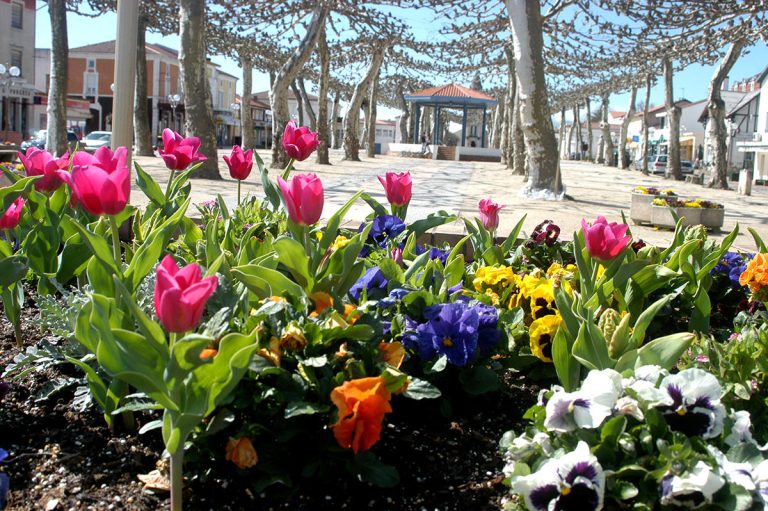 Place Aristide Briant Morcenx.