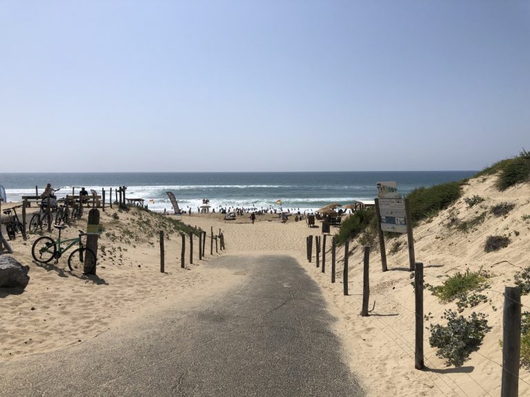 La plage de Seignosse, début juillet 2025