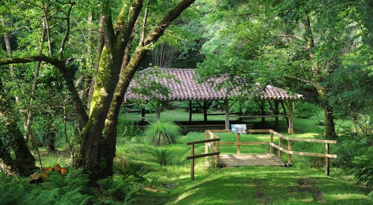 Zone humide de Limac, à Laglorieuse