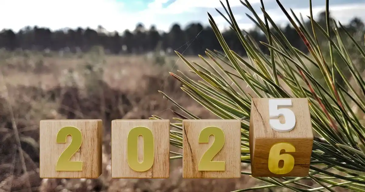 Rétrospective 2025 Landes : 10 Événements Qui Ont Marqué l'Année