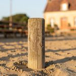 Les Rameaux 2026 à Hagetmau : Une fête resserrée, l'essentiel préservé