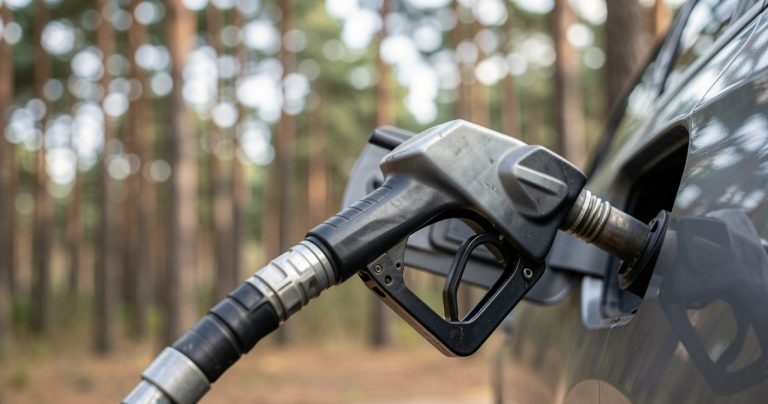 Pénurie énergétique : l'alerte de TotalEnergies qui inquiète les Landes