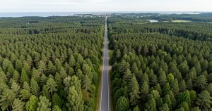 Artificialisation des sols : les Landes résistent-elles au bétonnage ?