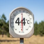 Canicule dans les Landes : le préfet dresse un premier bilan encourageant