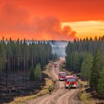Canicule et incendies : 25 000 hectares brûlés en France, un début de saison exceptionnel