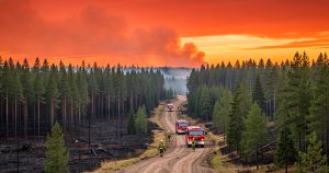 Canicule et incendies : 25 000 hectares brûlés en France, un début de saison exceptionnel