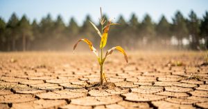 Sécheresse dans les Landes : restrictions d'eau renforcées, la CR40 appelle à désobéir