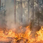 Landes en flammes