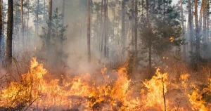 Landes en flammes