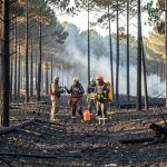 Incendie à Biscarrosse : la solidarité s'organise pour sauver la faune